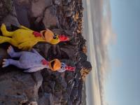 /home//u458753944/public_html/sourcegallery//other/uk 2023/edinburgh/IMG_20230914_071139577_HDR.jpg